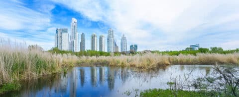 changement-climatique-solutions-naturelles-pourquoi-commentnbsp