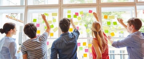 climat-biodiversite-transition-des-fresques-pour-passer-a-laction