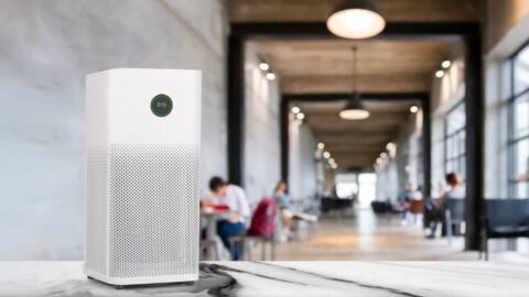 qualite-de-lrsquoair-en-entreprise-un-enjeu-strategique-pour-la-sante-et-la-performance